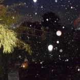 Interagindo com o Cosmo e o Multidimensional