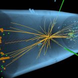 Universo quântico holoinformacional