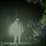 Plasma manifestando-se através do Mediador