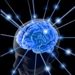 Neuroplasticidade