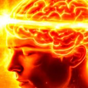 Despertar de um dimensional